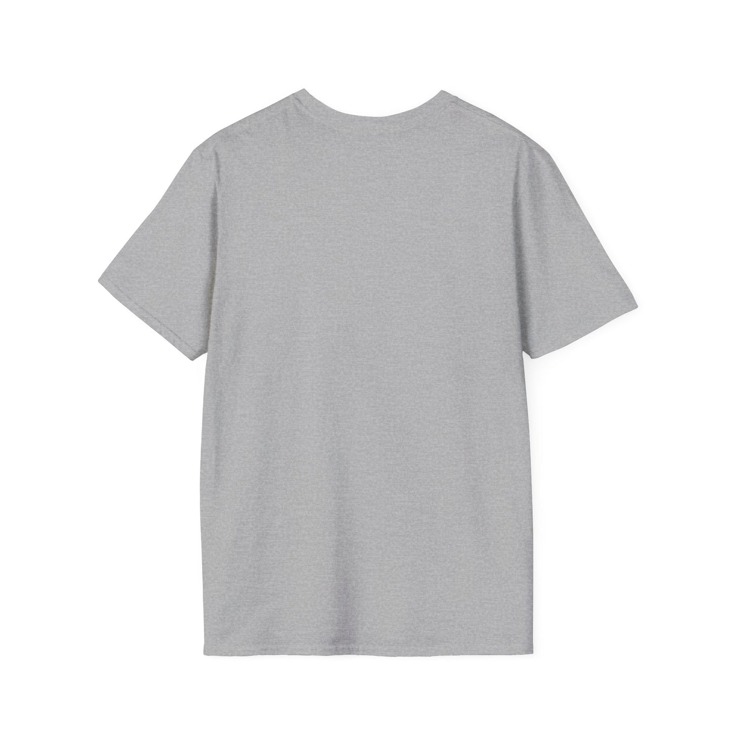 Unisex  Softstyle Tee, Unique Graphic Tee, Inspirational Quote