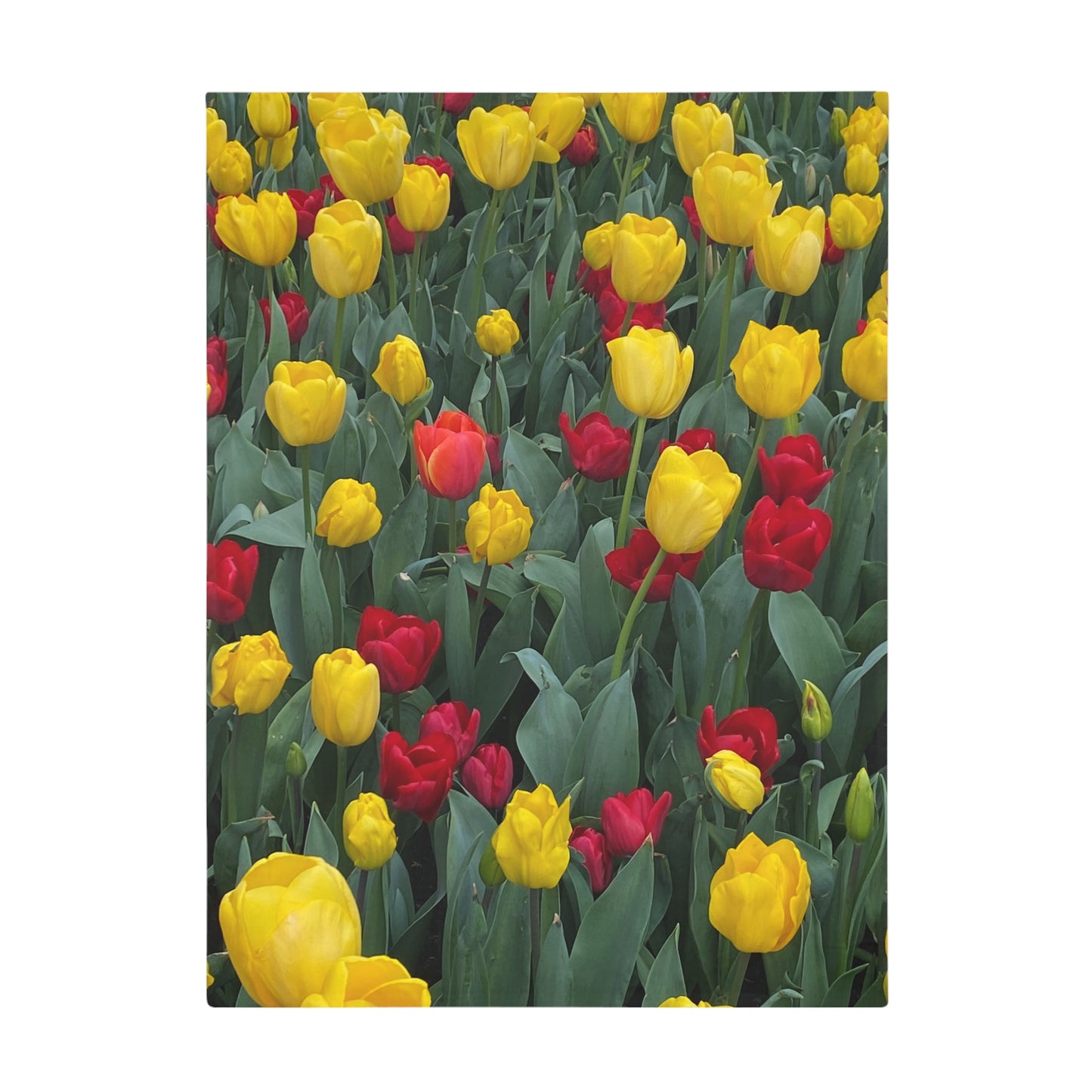 Vibrant Floral Plush Fleece Blanket, Cozy Home Decor, Gift for Her, Spring Picnic Throw, Flower Lover Blanket