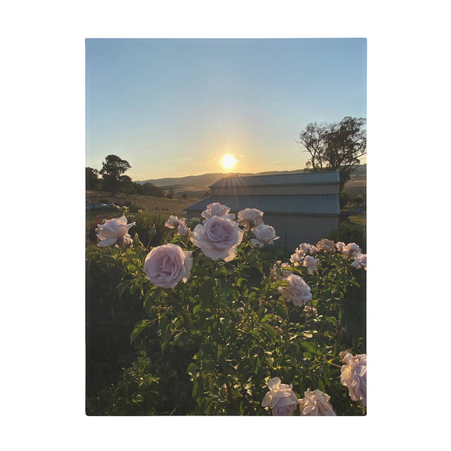 Sunset Rose Plush Fleece Blanket - Cozy Home Decor, Floral Blanket, Gift for Her, Warm Throw, Perfect for Spring & Summer