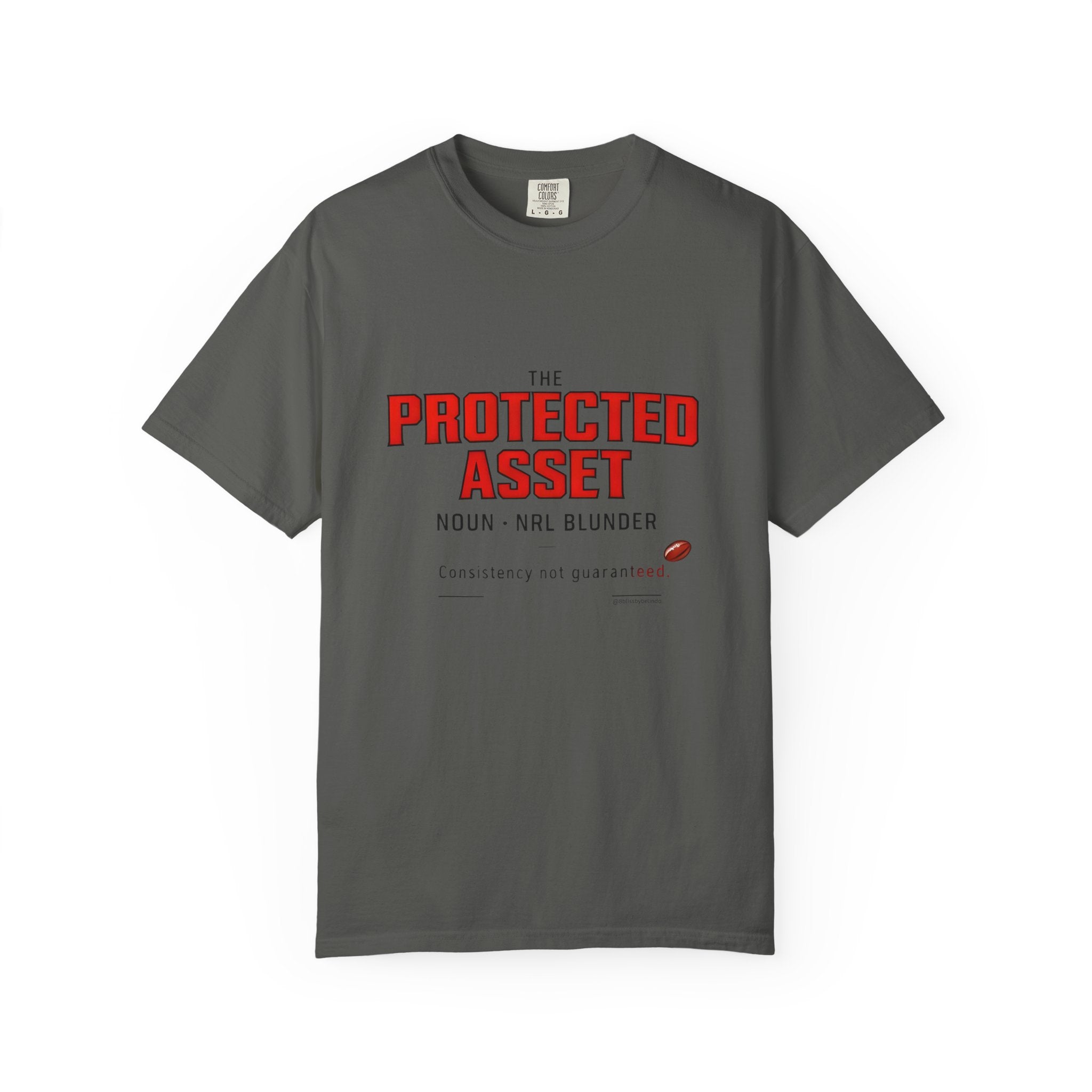 The Protected Asset Graphic T-Shirt — 'The Protected Asset' Sports Humour Tee with Definition Print
