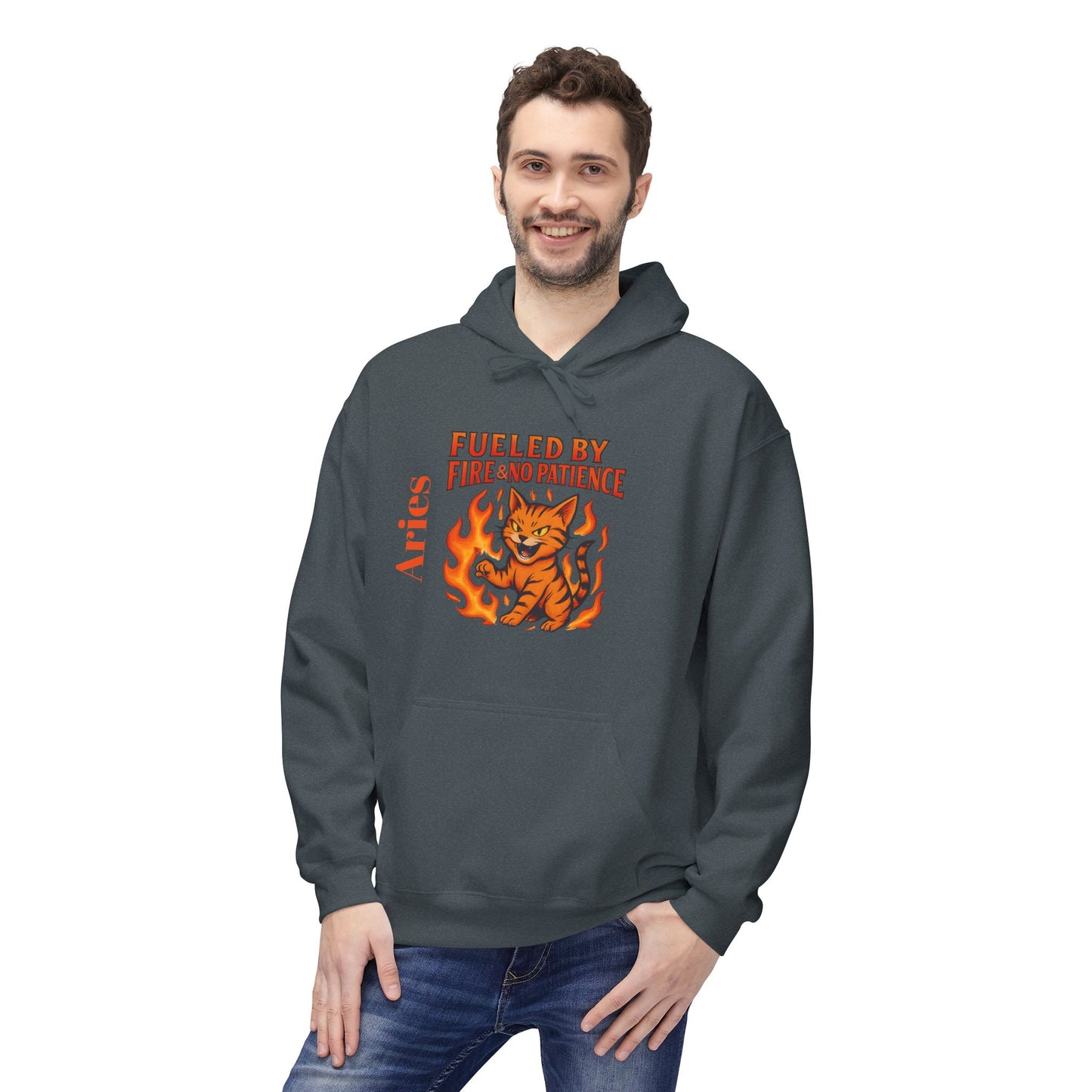 Aries Cat Fire Vibe Hoodie, Astrology Sweatshirt, Custom Zodiac Gift, Unisex Pullover, Birthday Celebration, Astrology Lover Hoodie