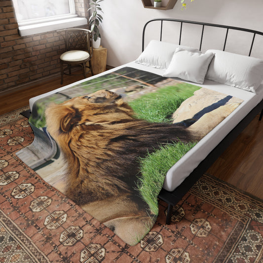 Majestic Lion Plush Fleece Blanket - Cozy Home Decor, Wildlife Lover Gift, Animal Lover Throw, Soft Bedspread, Perfect for Camping
