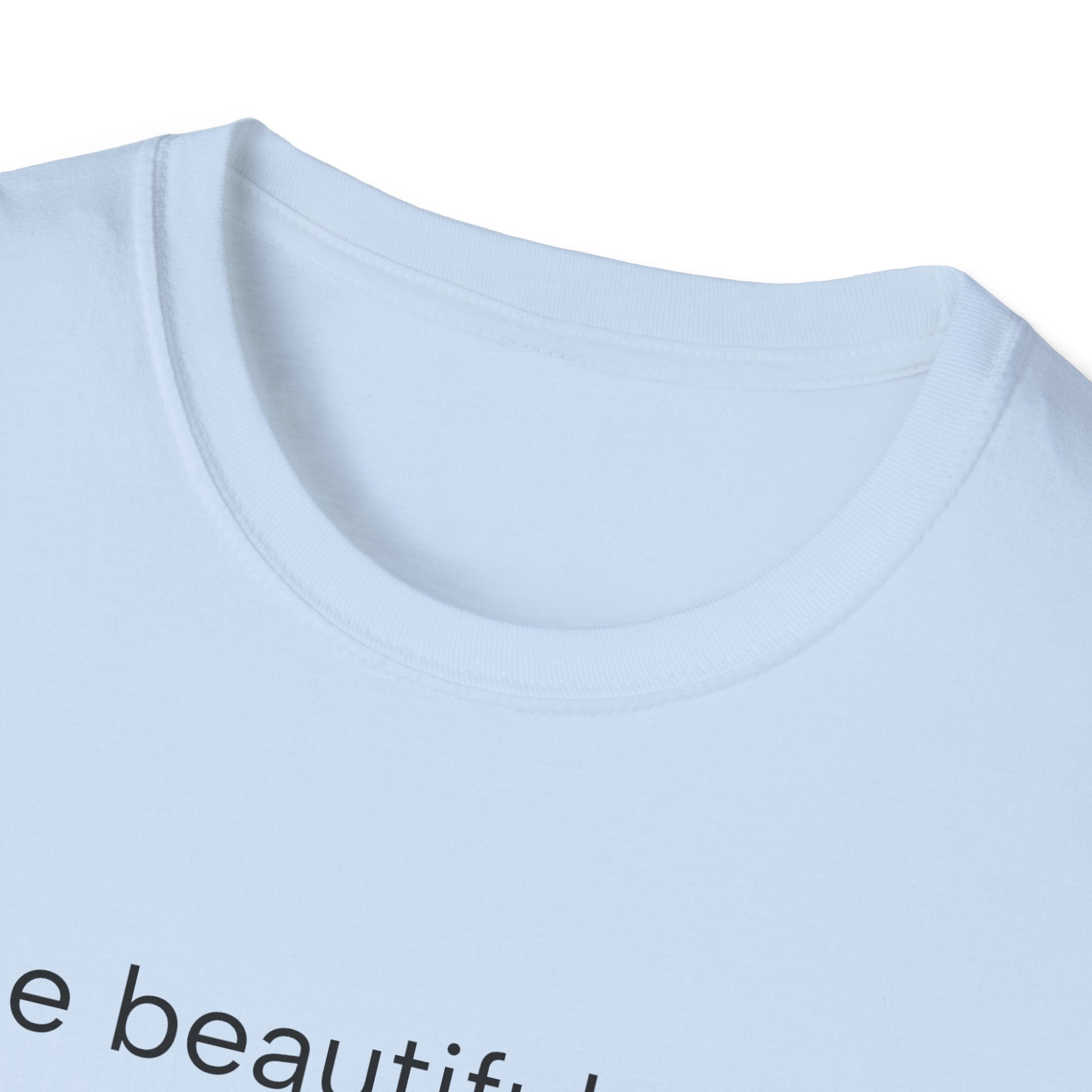 Inspirational Guitar Quote T-Shirt, Unisex Softstyle Shirt, Music Lover Gift