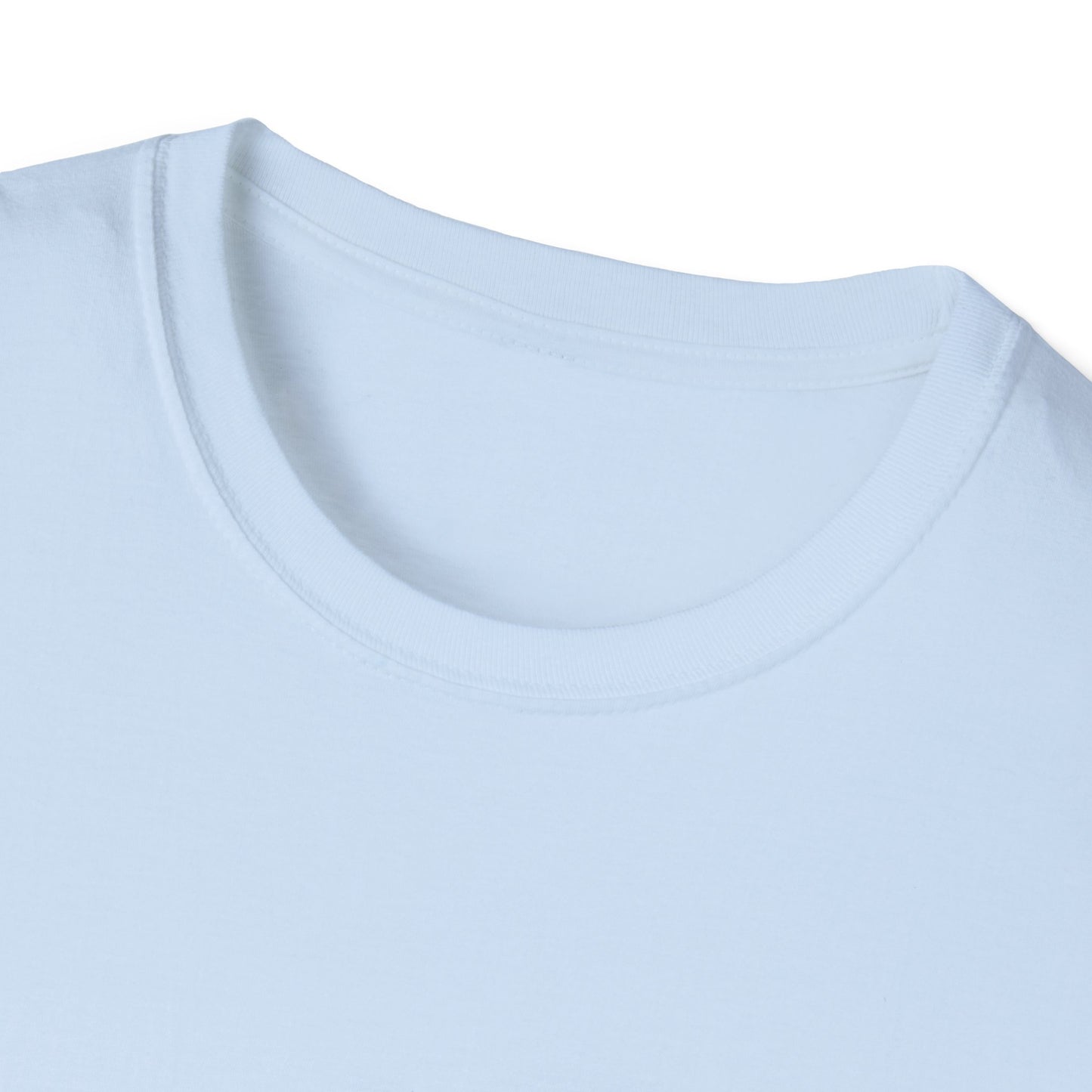 Inspirational Unisex Softstyle T-Shirt, Unique Graphic Shirt, Casual Wear, Vintage Style