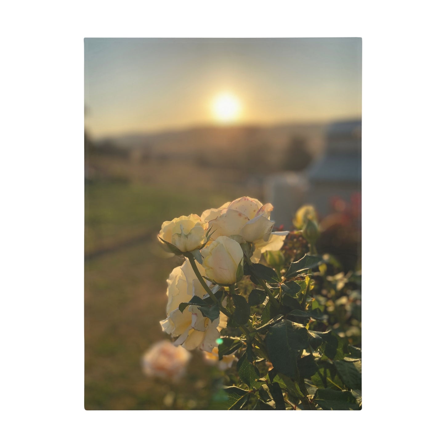 Sunset Rose Plush Fleece Blanket | Cozy Home Decor, Gift for Her, Fall and Winter Essentials, Floral Throw Blanket, Warm Snuggly Cover