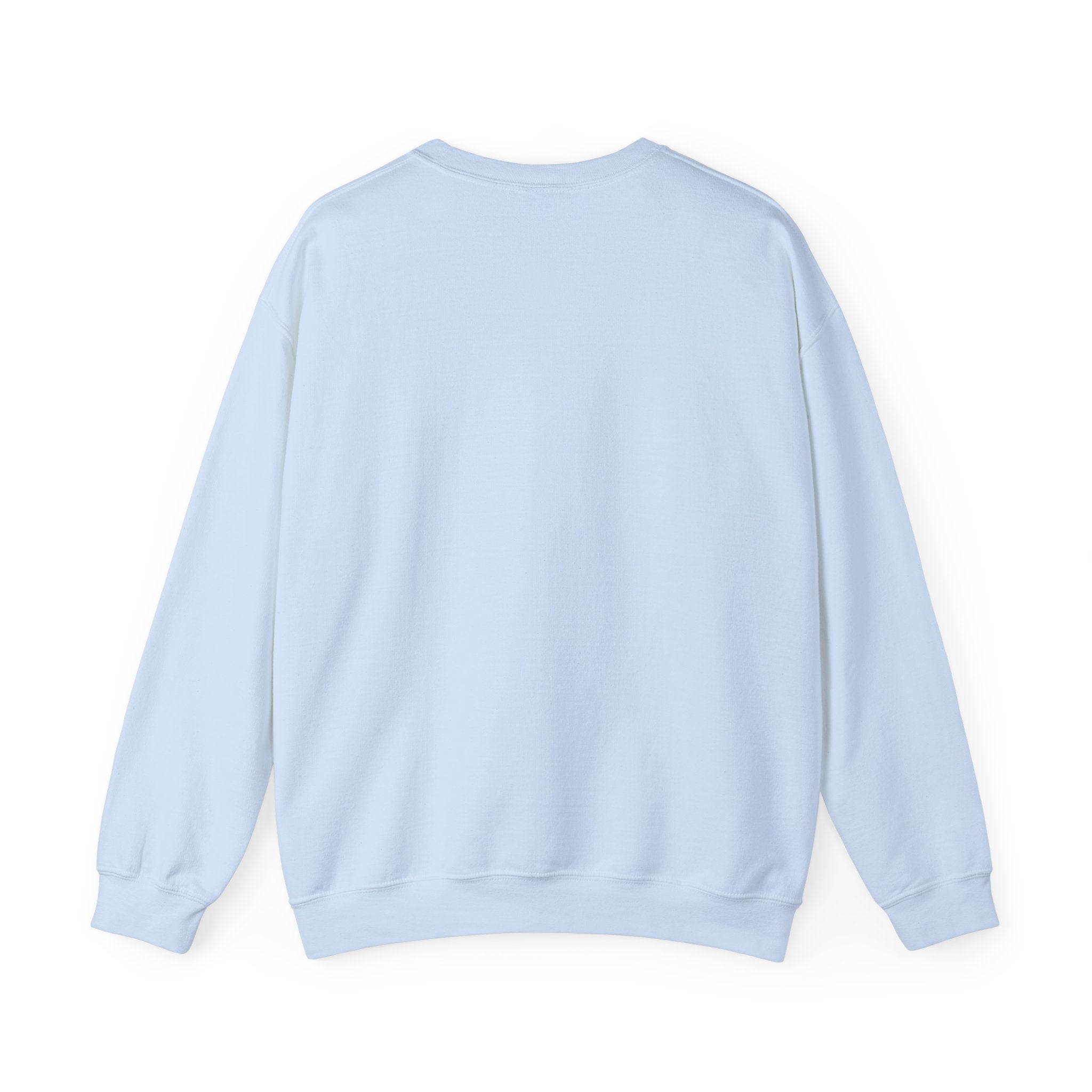 Light blue crewneck sweatshirt with long sleeves and ribbed neckline and cuffs